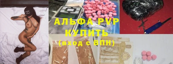 ПСИЛОЦИБИНОВЫЕ ГРИБЫ Осташков