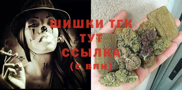 хмурый Гусев