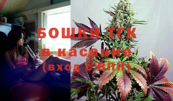 ПСИЛОЦИБИНОВЫЕ ГРИБЫ Осташков