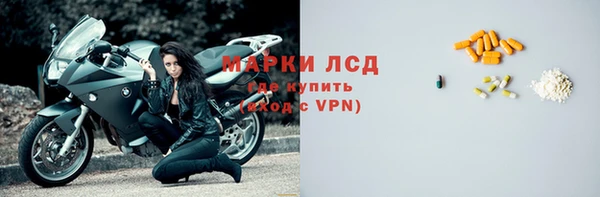 хмурый Гусев