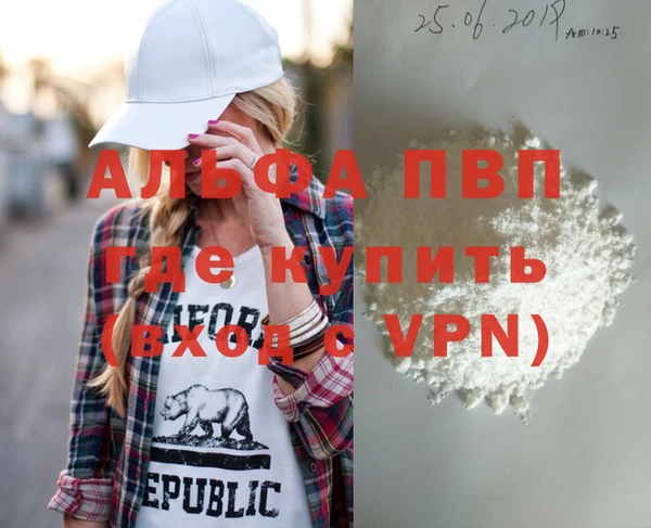 ПСИЛОЦИБИНОВЫЕ ГРИБЫ Осташков