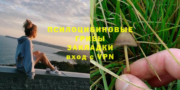 хмурый Гусев