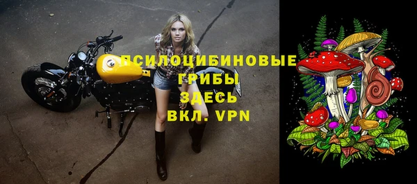 амф Осинники