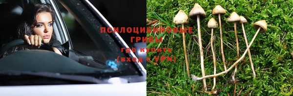 хмурый Гусев